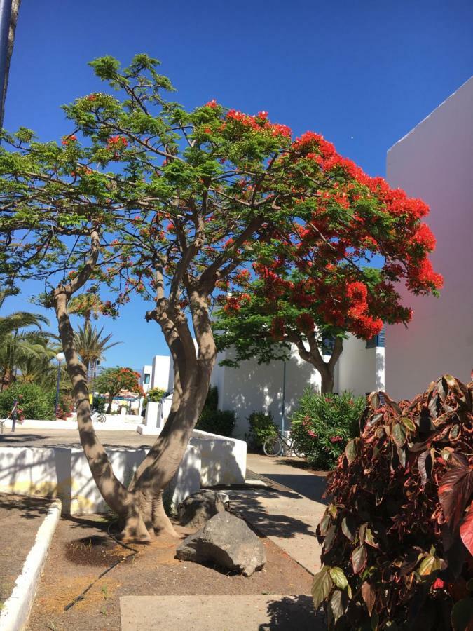 Los Barqueros Corralejo "Beach Front - Town Centre" Apartment Exterior foto